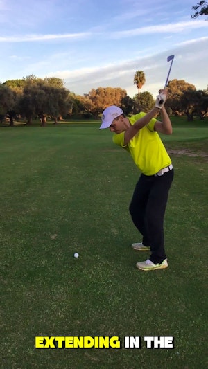 Early Extension Drill #1