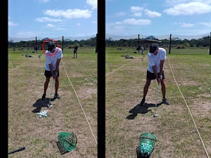 Free Swing Analysis example