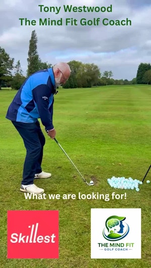 What we are looking for. 