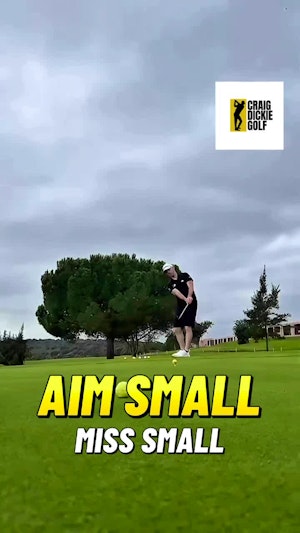 Untitled video from Mar 8, 2026