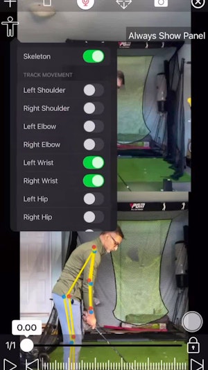 Online student gains