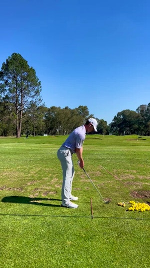 Rowan Lester - Professional 