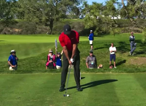 FO - Tiger Woods