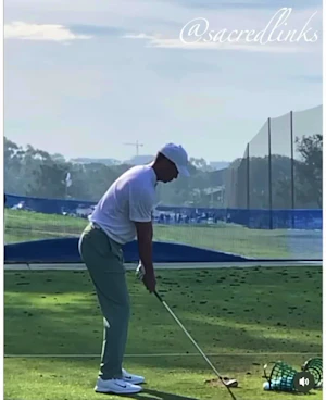 DTL - Tiger Woods